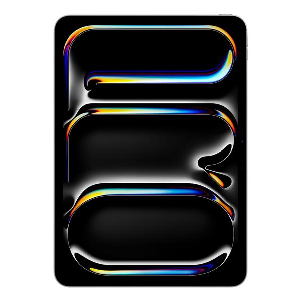 IPAD PRO 11" WI-FI 256GB SLV