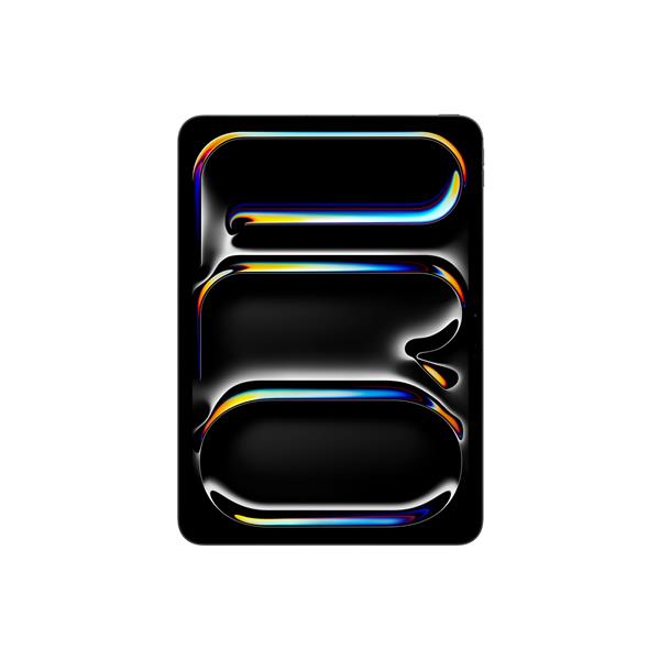 IPAD PRO 11  WIFI-CELL 256GB BLK