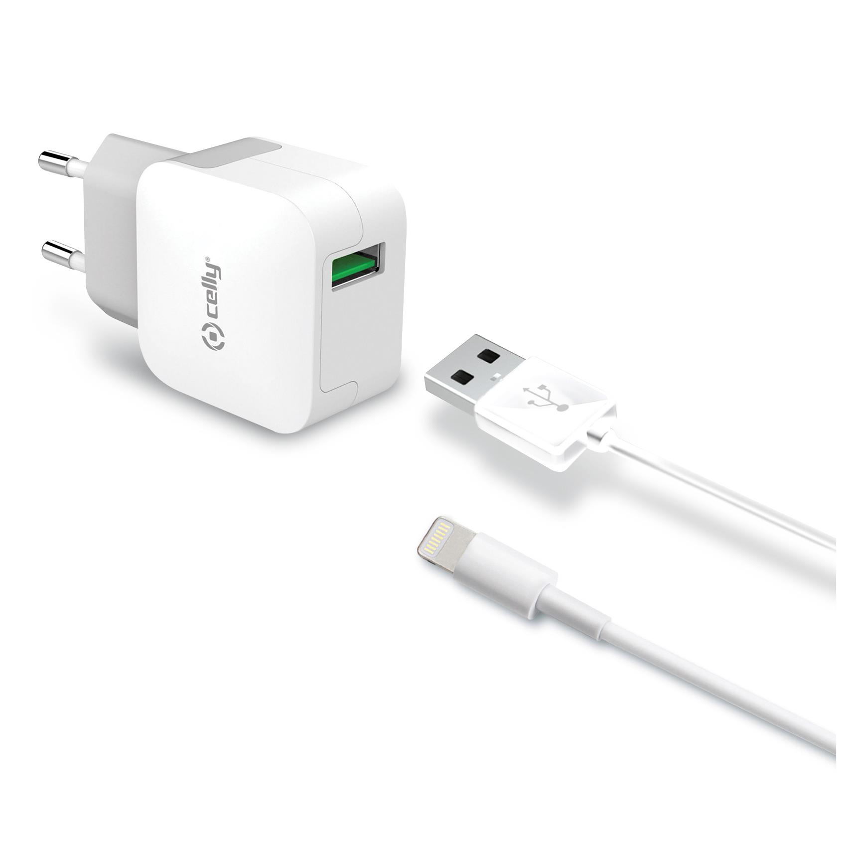 USBA WALL CHGER 12W+LIGHTNING CABLE