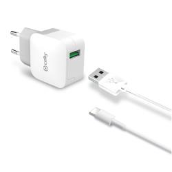 USB-A WALL CHARGER 12W+USB-C CABLE